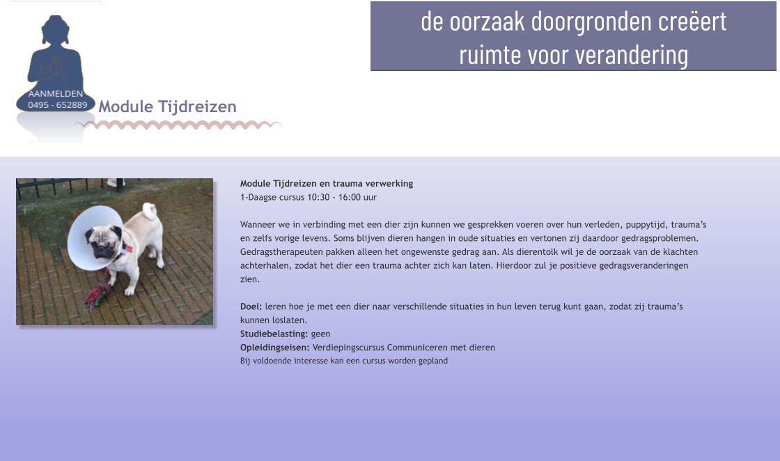 Module Tijdreizen  Module Tijdreizen en trauma verwerking 1-Daagse cursus 10:30 - 16:00 uur  Wanneer we in verbinding met een dier zijn kunnen we gesprekken voeren over hun verleden, puppytijd, trauma’s en zelfs vorige levens. Soms blijven dieren hangen in oude situaties en vertonen zij daardoor gedragsproblemen. Gedragstherapeuten pakken alleen het ongewenste gedrag aan. Als dierentolk wil je de oorzaak van de klachten achterhalen, zodat het dier een trauma achter zich kan laten. Hierdoor zul je positieve gedragsveranderingen zien. Doel: leren hoe je met een dier naar verschillende situaties in hun leven terug kunt gaan, zodat zij trauma’s kunnen loslaten. Studiebelasting: geen Opleidingseisen: Verdiepingscursus Communiceren met dieren Bij voldoende interesse kan een cursus worden gepland de oorzaak doorgronden creëert  ruimte voor verandering