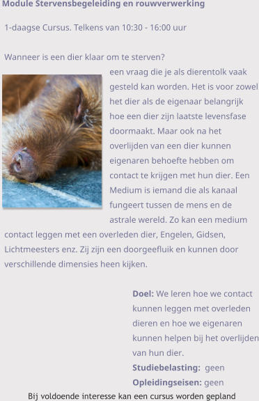 1-daagse Cursus. Telkens van 10:30 - 16:00 uur  Wanneer is een dier klaar om te sterven?een vraag die je als dierentolk vaak gesteld kan worden. Het is voor zowel het dier als de eigenaar belangrijk hoe een dier zijn laatste levensfase doormaakt. Maar ook na het overlijden van een dier kunnen eigenaren behoefte hebben om contact te krijgen met hun dier. Een Medium is iemand die als kanaal fungeert tussen de mens en de astrale wereld. Zo kan een medium contact leggen met een overleden dier, Engelen, Gidsen, Lichtmeesters enz. Zij zijn een doorgeefluik en kunnen door verschillende dimensies heen kijken.    Doel: We leren hoe we contact kunnen leggen met overleden dieren en hoe we eigenaren kunnen helpen bij het overlijden van hun dier. Studiebelasting:  geen Opleidingseisen: geen Bij voldoende interesse kan een cursus worden gepland Module Stervensbegeleiding en rouwverwerking