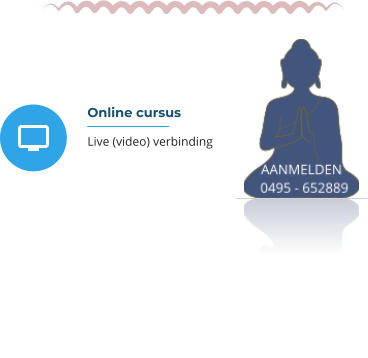 Online cursus Live (video) verbinding
